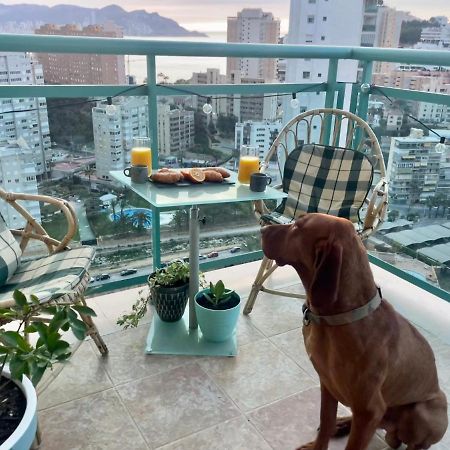 Traveler'S Beach Apartment With Sea View, Free Coffee & Parking Бенидорм Екстериор снимка
