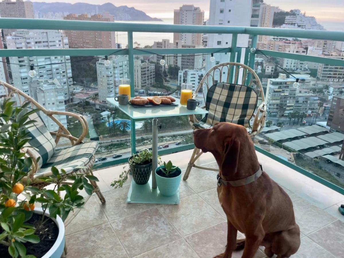 Traveler'S Beach Apartment With Sea View, Free Coffee & Parking Бенидорм Екстериор снимка
